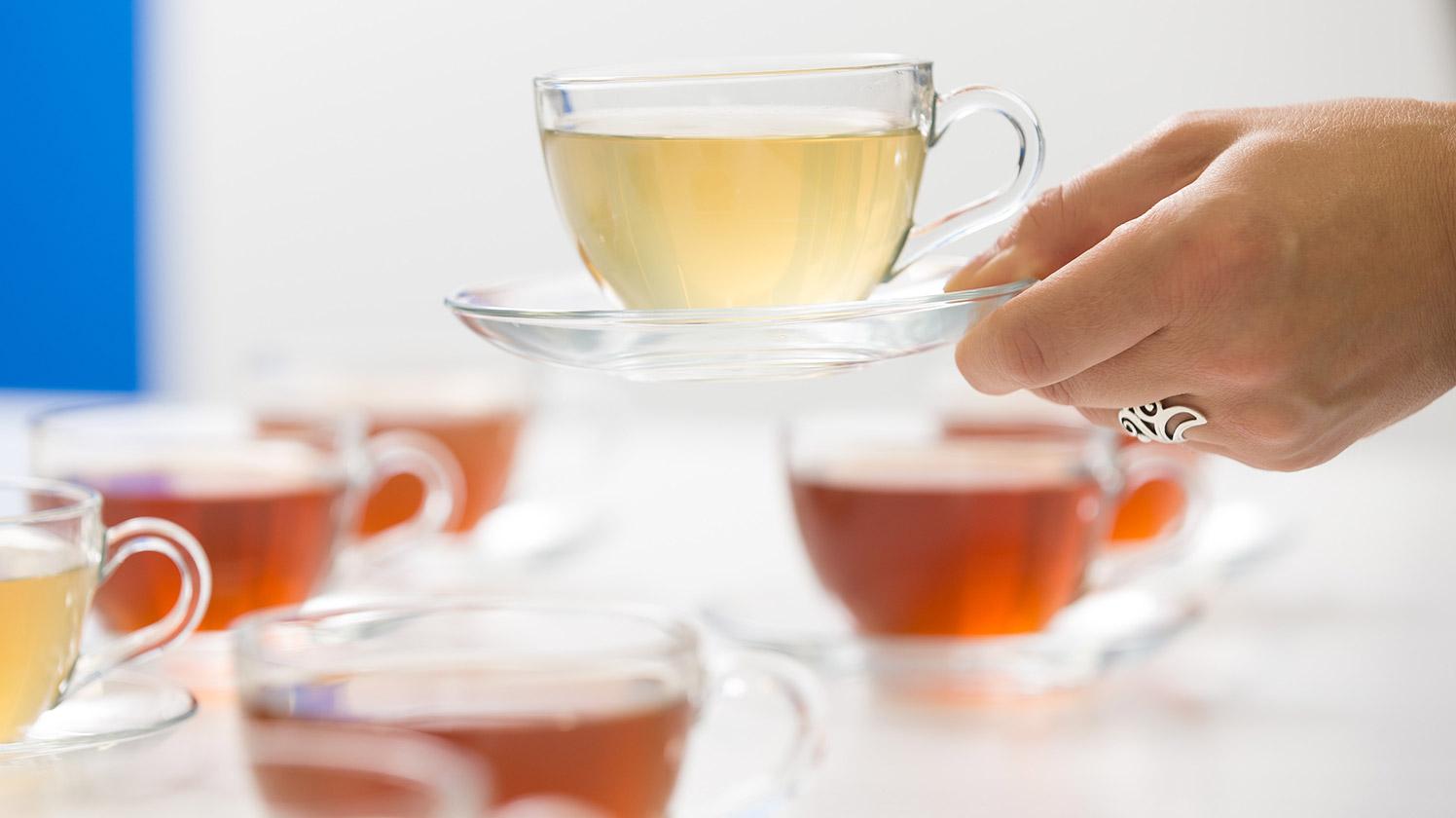 BRITA sensory lab test